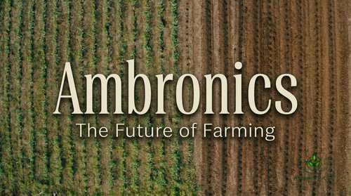 Ambronics — Commercial Documentary Film